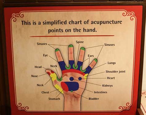 Master the Art of Deep Tissue Massage at the Magic Fingers Institute
